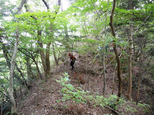 12･31道なき道を行く