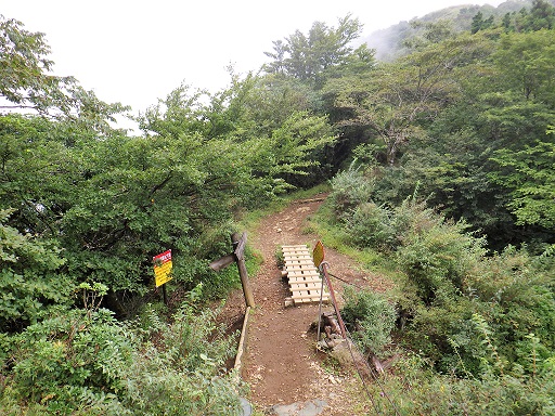 政次郎ノ頭下り左折して戸沢に下山