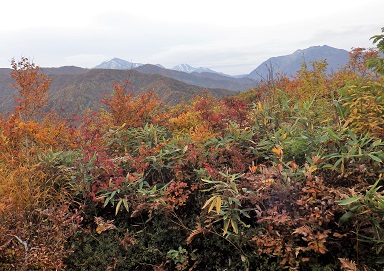 越後三山