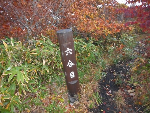 6・24 標高949m