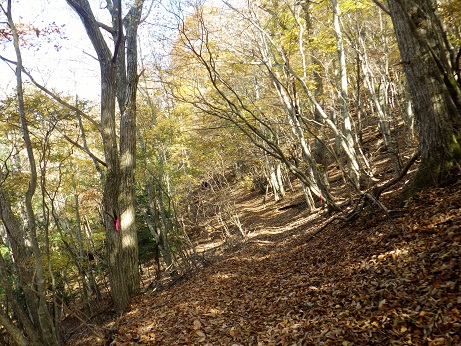 西肩峠12:05