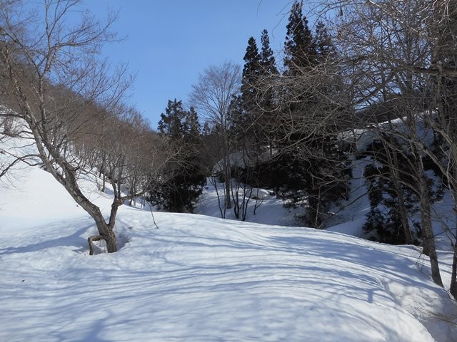 対岸には渡れなかった