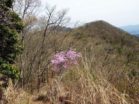 三ツ森北峰13:11 から麻生山