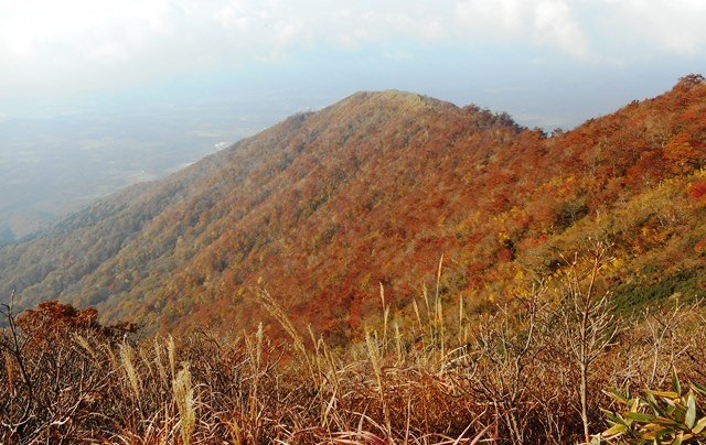 8・07上蒜山下り先程登ってきた槍ヶ峯 陽光に紅葉見事