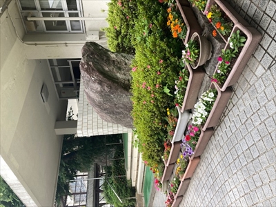 花抜き花植え