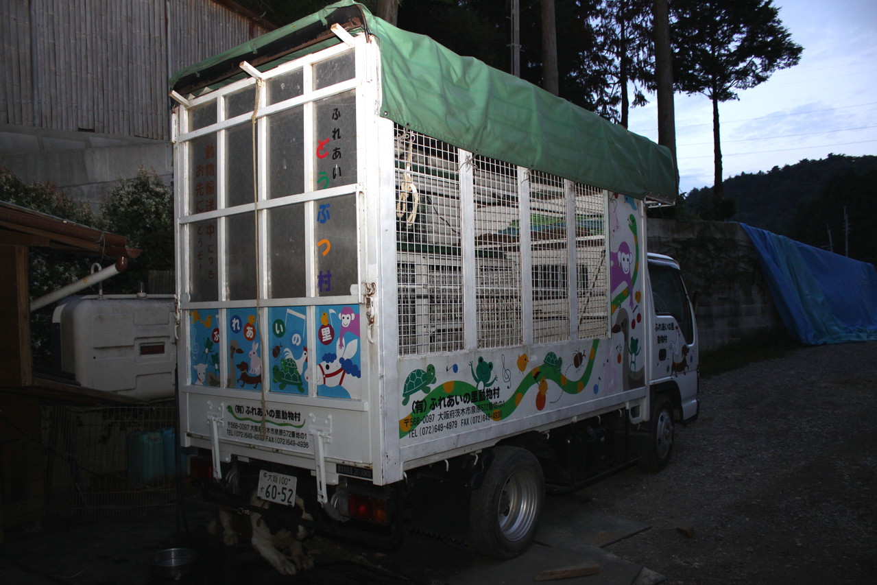 ふれあい動物村の実施概要 ふれあいの里動物村 ふれあい動物村の実施概要 ふれあいの里動物村