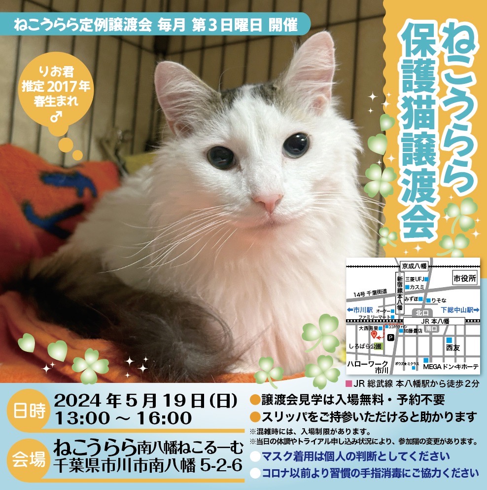 ねこうらら　　保護猫譲渡会　　（２０２４年5月19日）