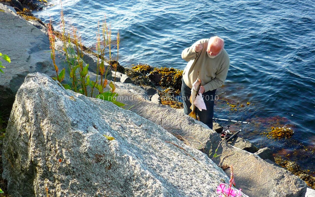 Ça y est! un gros poisson vient de mordre. Notez la canne à pêche cassée!