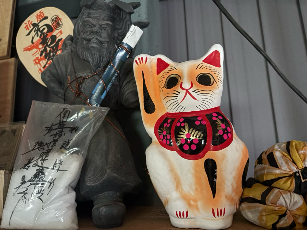 ラッキーCAT！