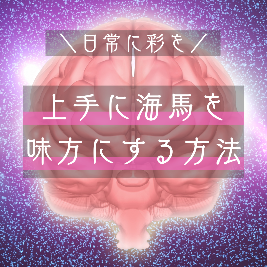 海馬を上手に味方にする方法