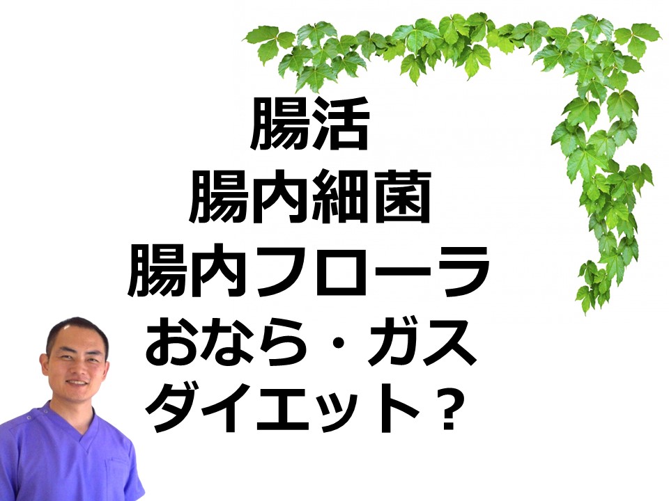 腸活｜腸内フローラ（腸内細菌）を食事・マッサージで改善して気持ち・ガス・便秘を解消しましょう