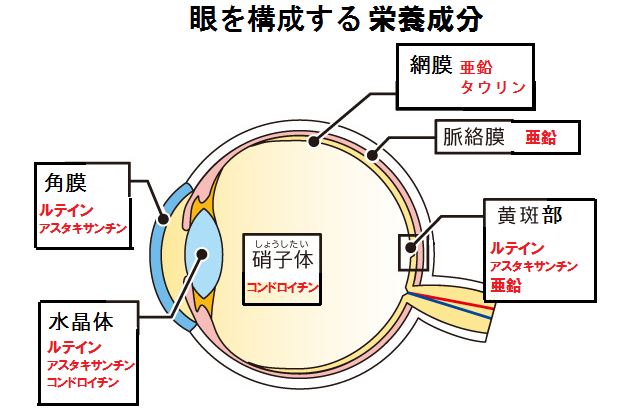 眼を構成する成分として、ルテイン、アスタキサンチン、亜鉛があります。