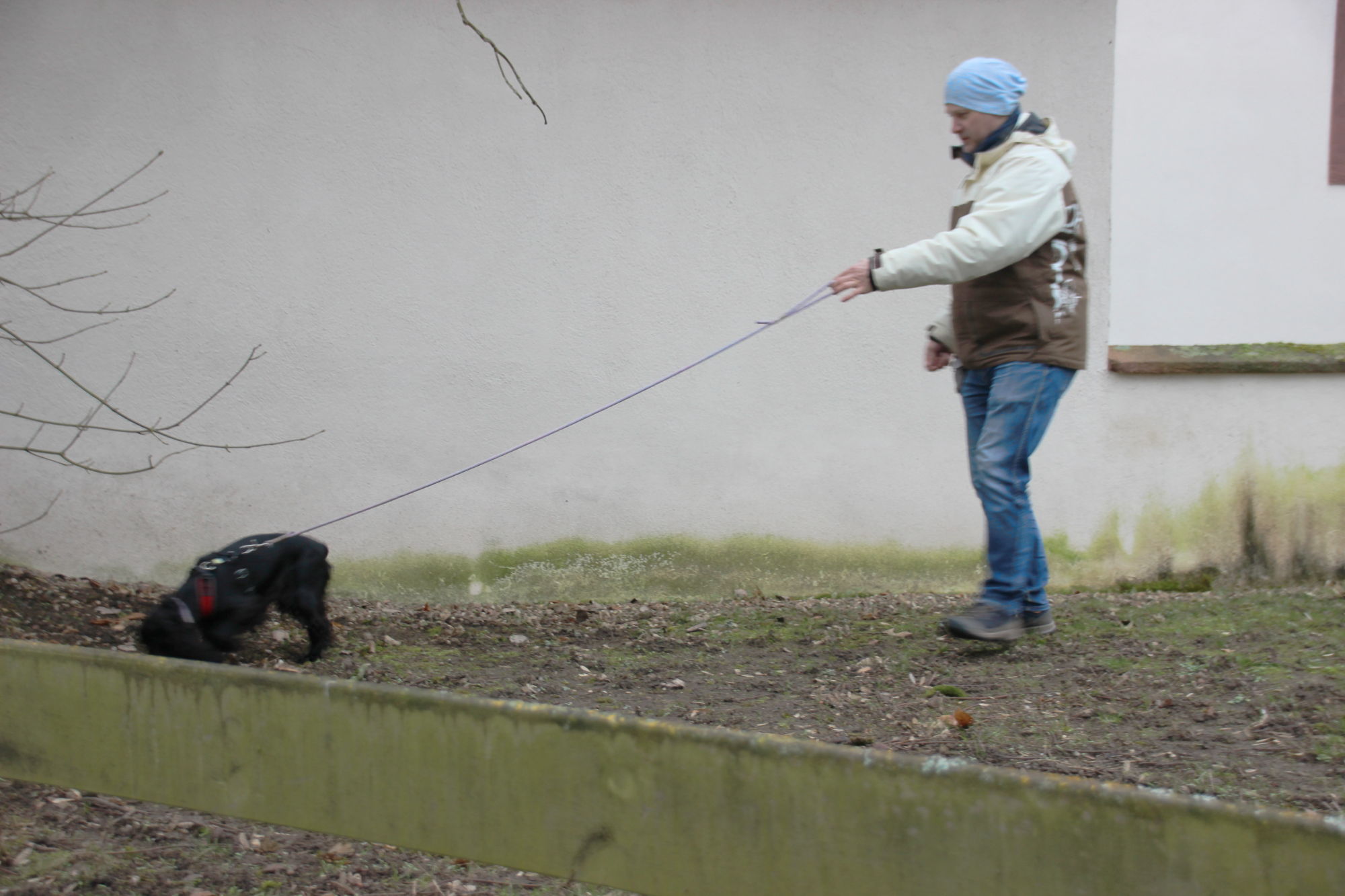 Nelly nimmt die Herausforderung an.