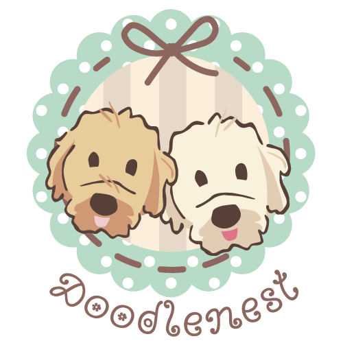 Unser Frauchen Goldendoodles Aus Dem Doodlenest