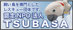 認定NPO法人TSUBASAホームページ