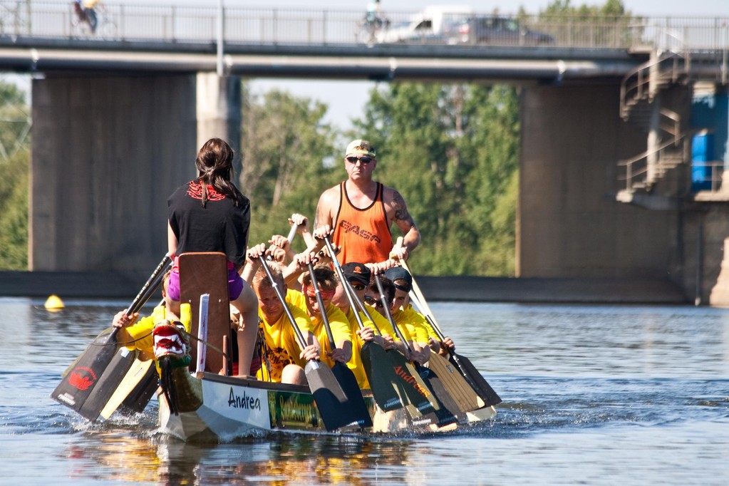 seit 10 Jahren auf dem Muldestausee etabliert - Drachenbootrennen