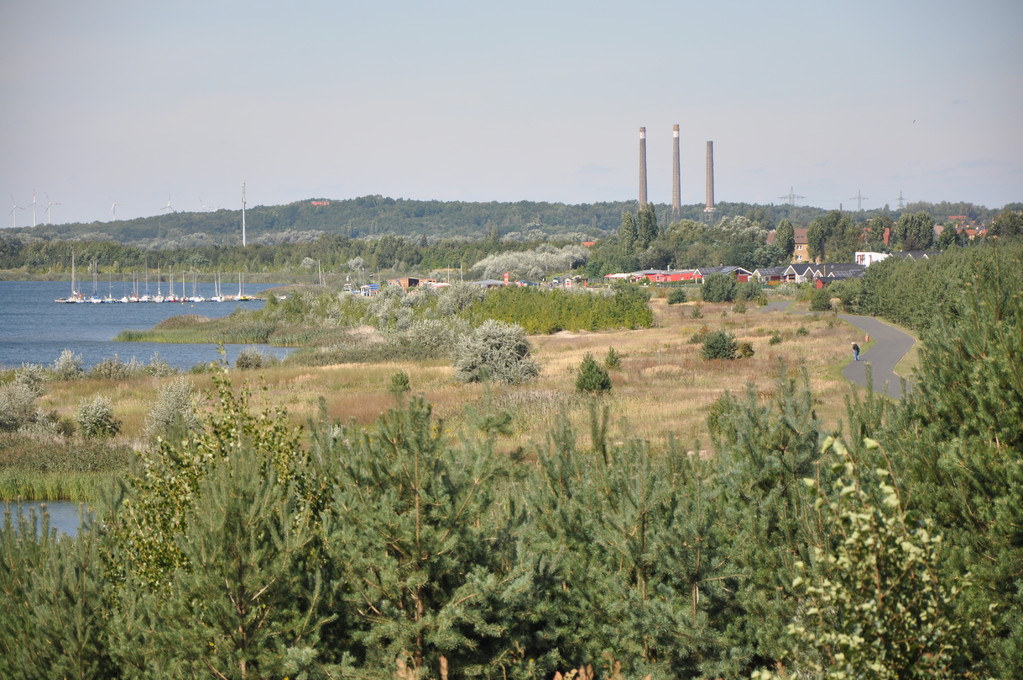 vor Pouch - im Hintergrund die alten Schornsteine des Bahnkraftwerkes Muldenstein (sie fallen am 10.04.2011)