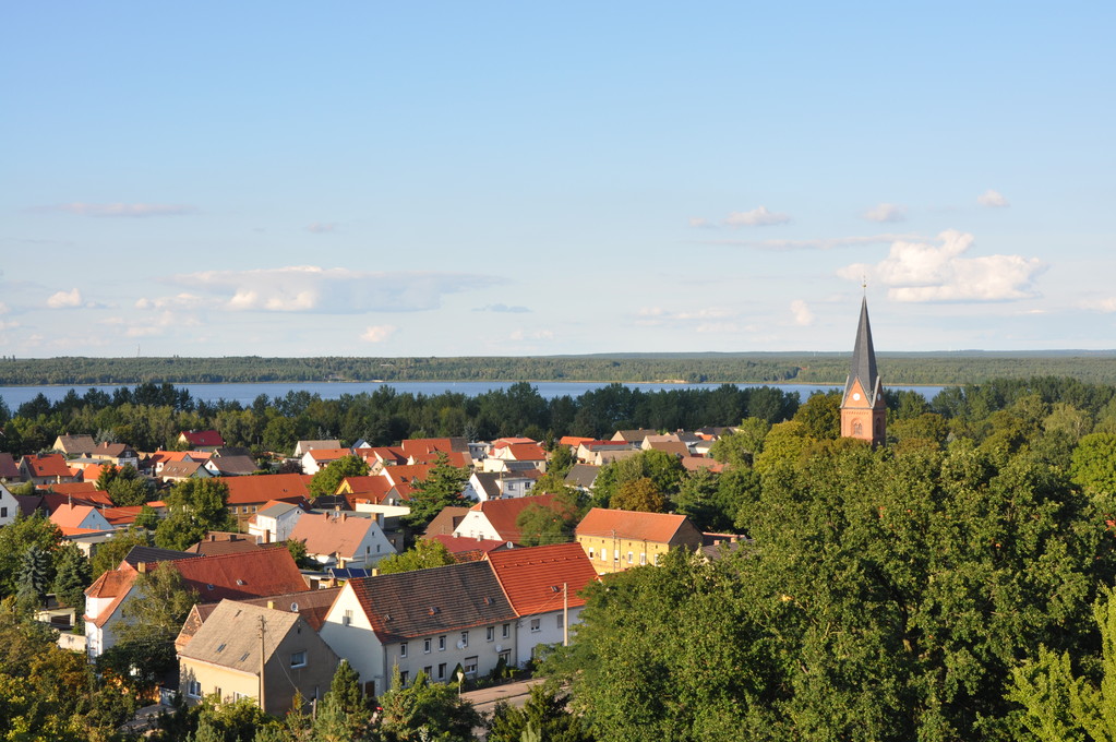 Blick vom Roten Turm Richtung Muldestausee und Dübener Heide