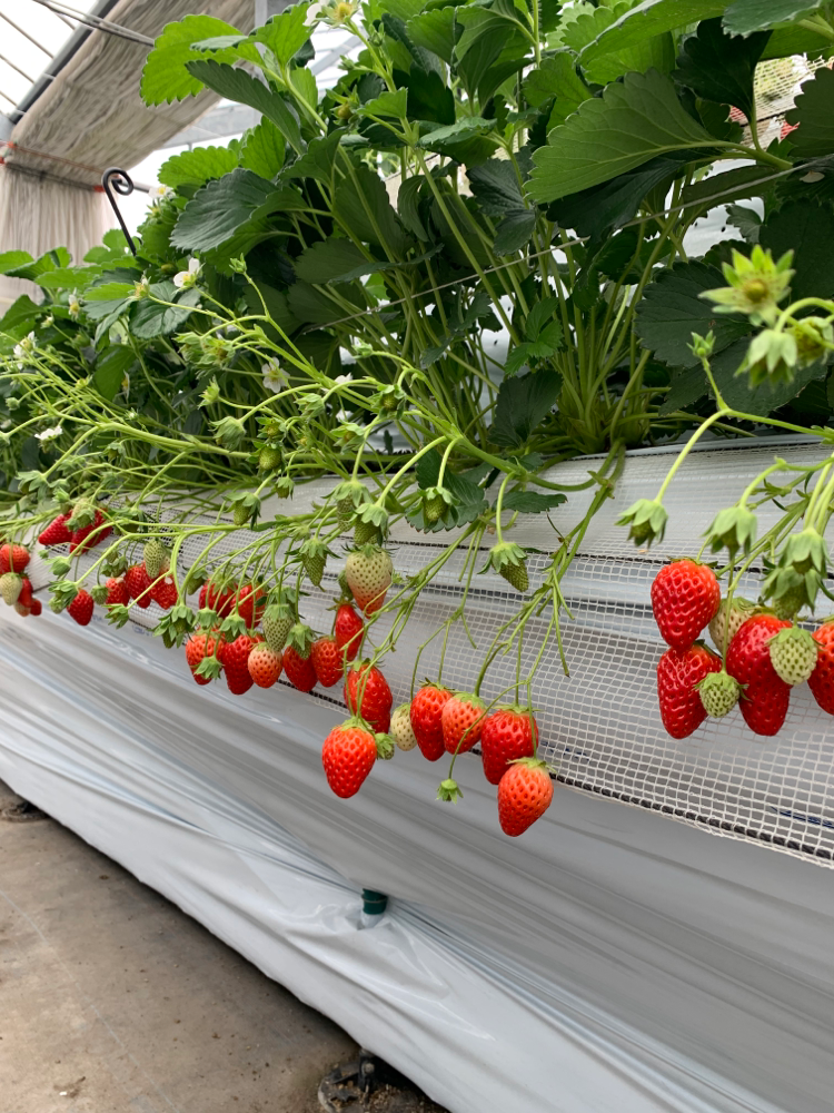 また行きた〜い!