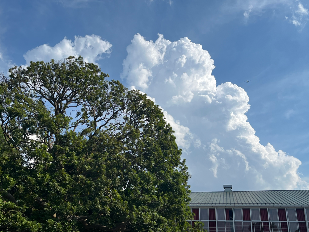 学校帰りに撮った入道雲です✨️夏が始まってきましたね！