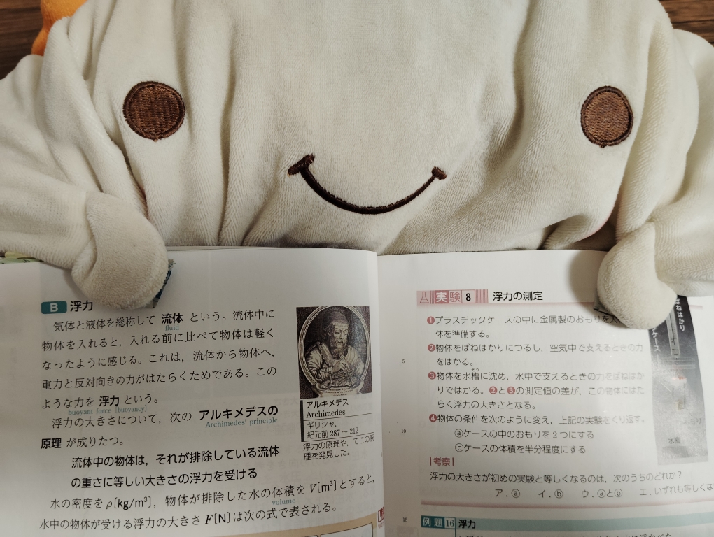 物理基礎の教科書を手に取ったらまず開くぺージがこちらです🫶