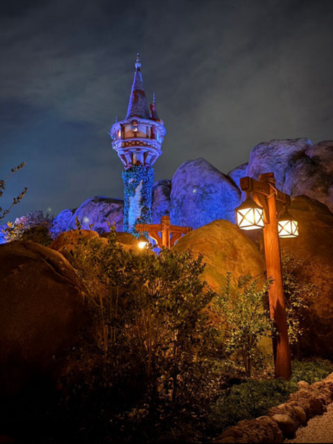 先日行ったディズニーシーのファンタジースプリングスで撮った写真です✨キレイすぎて感動しました😍