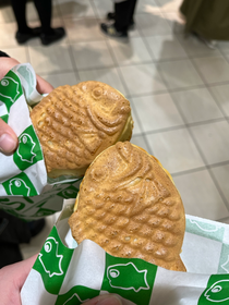 最近たい焼きにハマってます🐟