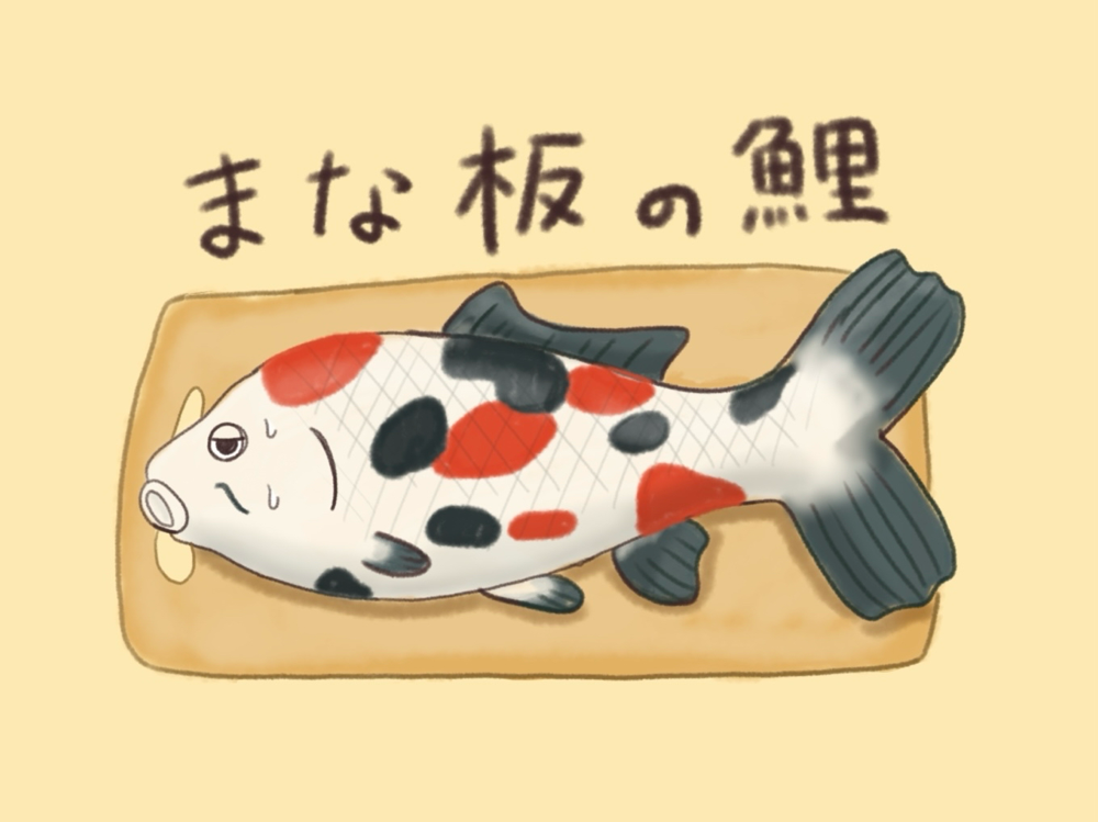 まな板の鯉！私の心境です…