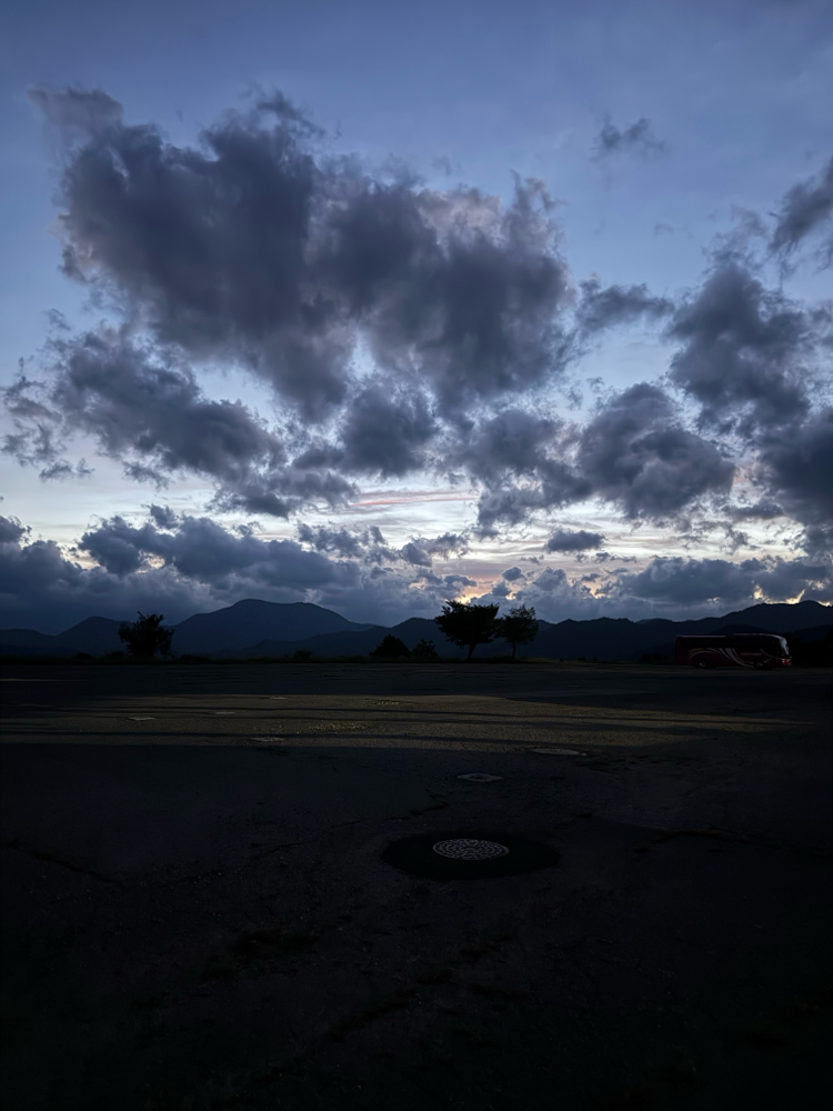 とっても幻想的ですね✨