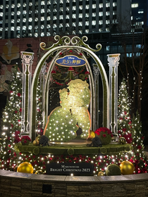 大好きな美女と野獣のオブジェです🫶