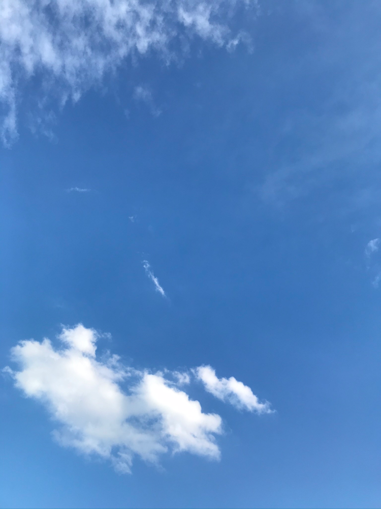 最近はなかなかみることのない、いつかの青空を載せておきます☀️