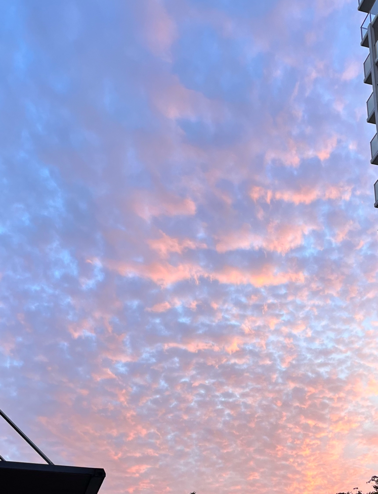 先日の空☁️色が好きでした🫶