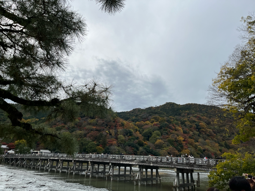 うっすらと色づく紅葉と渡月橋（もう少し来るのが遅ければ綺麗に色付いていたんですかね？）