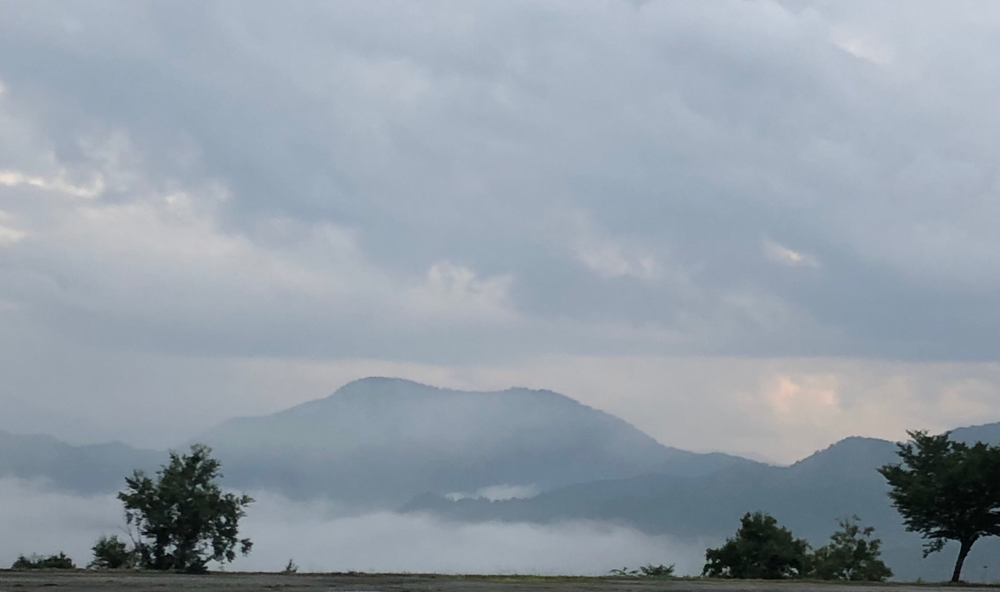 人生で初めて雲海を見ました☁️幻想的すぎる…