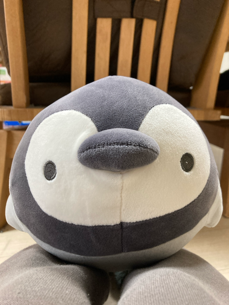 🐧めっちゃ癒されます、、