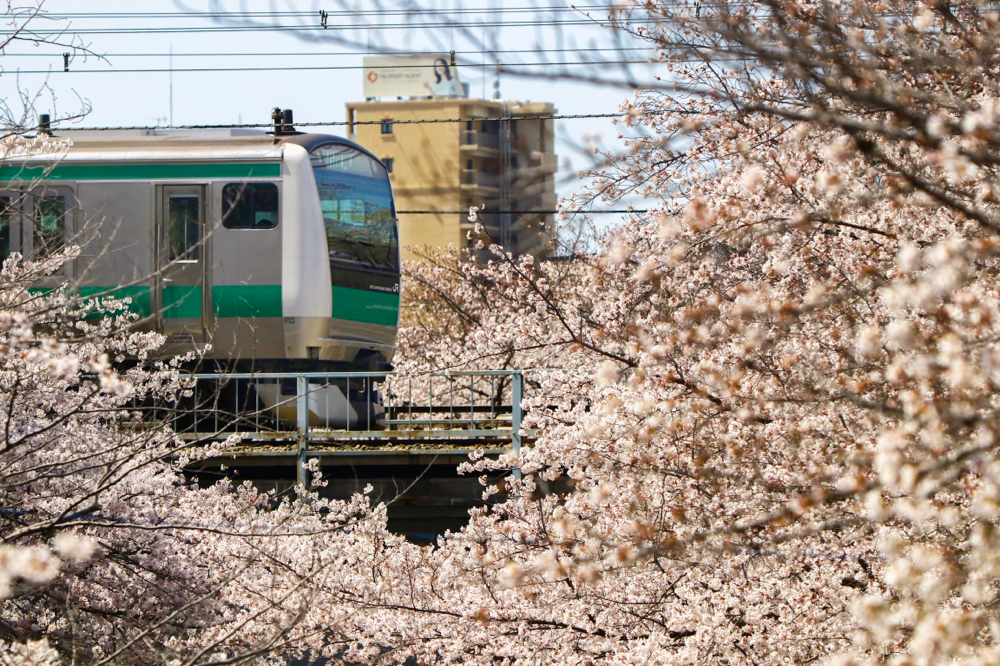 画素数落ちはお許しください