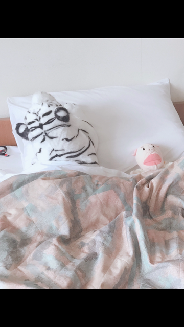 合宿に連れていかれた模様の2匹