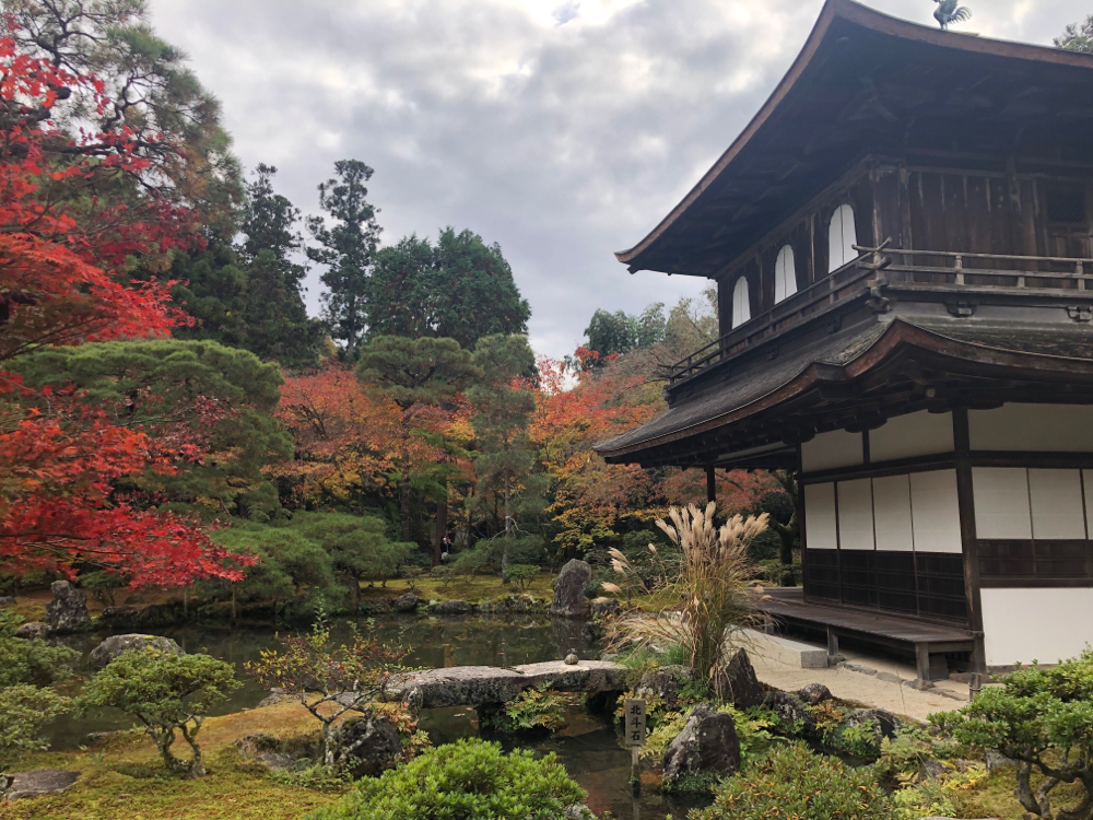 紅葉もきれいでした🍁