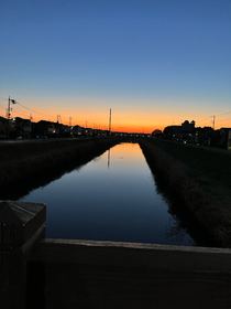 冬季演奏会の日の朝に撮った一枚です📷✨