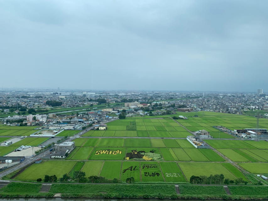 東埼玉資源環境組合展望台からの景色です🥰