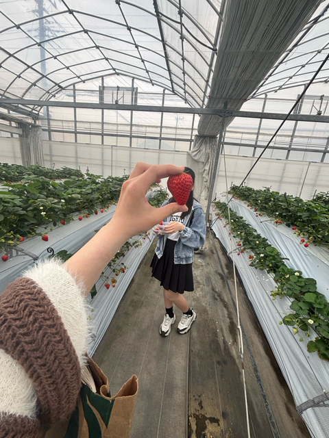 先日友達といちごを狩りました🍓
