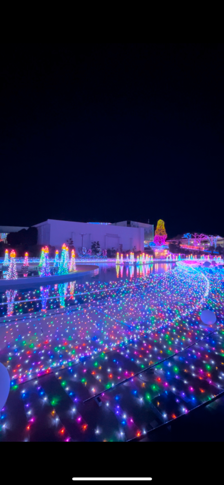 随分前ですが、友人とイルミネーションを見にいきました🫶