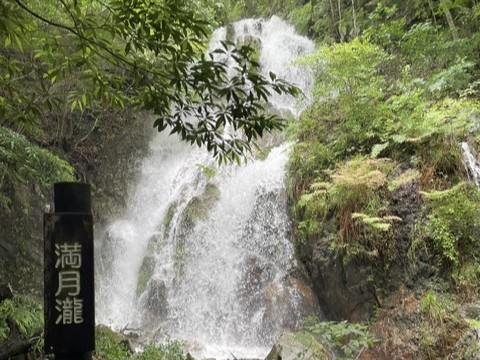 2026.06.03桜の園　迫力ある満月滝