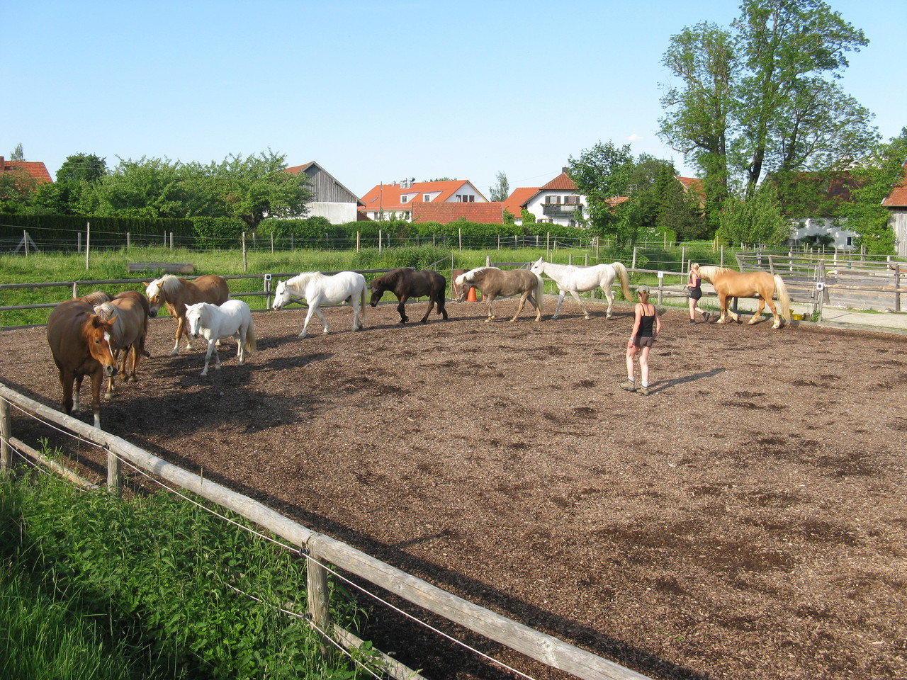 Auf dem Reitplatz...