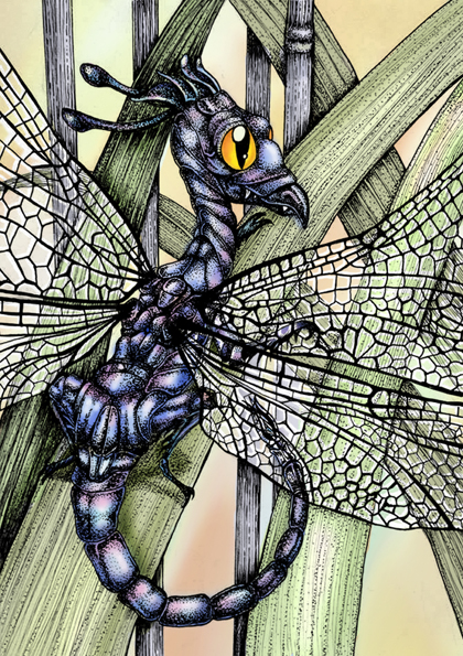 The Dragonfly Dragon