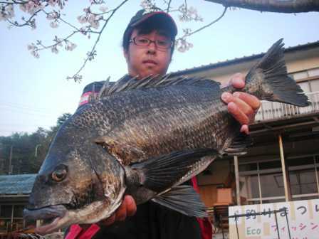 ４月２日　磯から北村さん　５４．４㎝