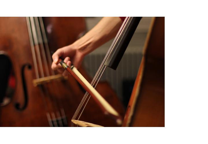 Flute / Double Bass Astona International Summer Music Academy