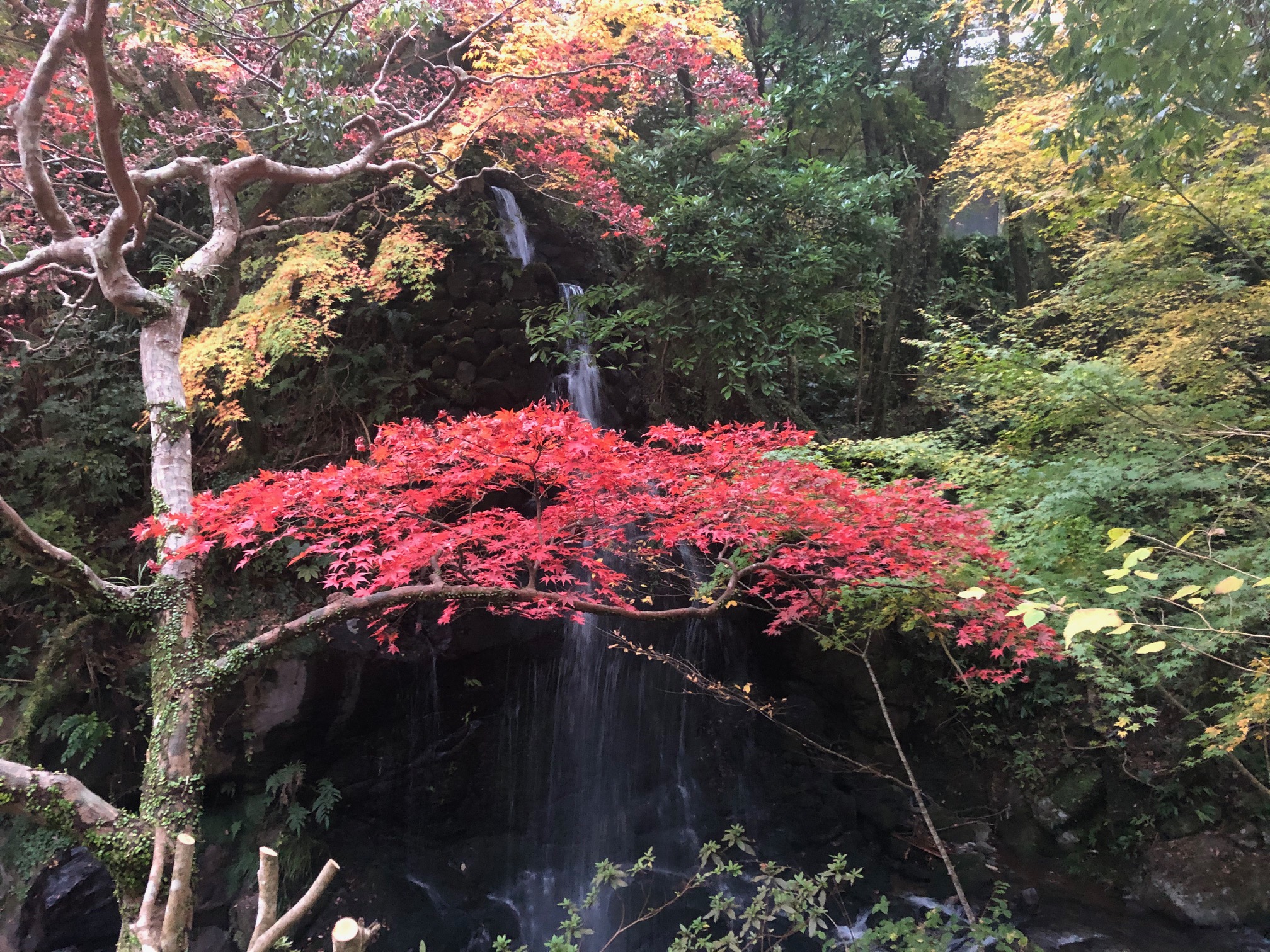2019年12月 社員旅行②