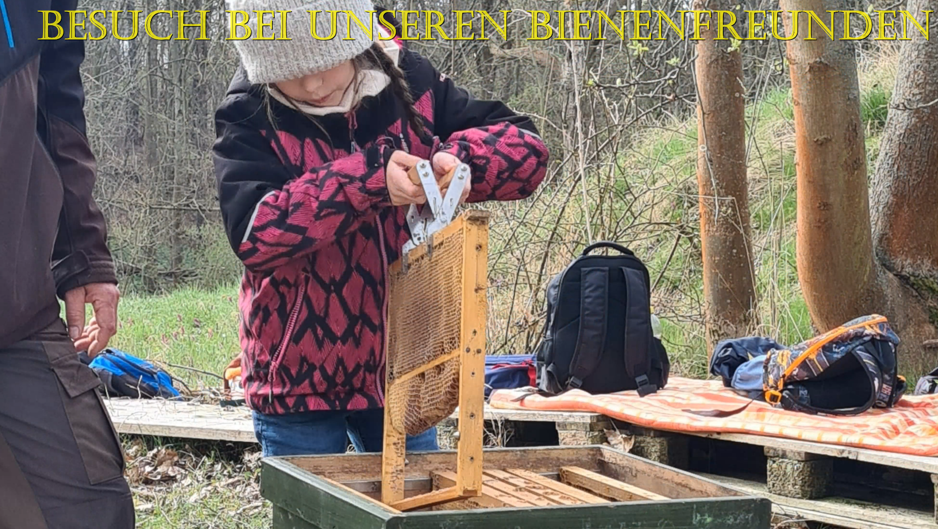 Hort 1 der Brinkmeier Grundschule in Ballenstedt, Sachsen-Anhalt