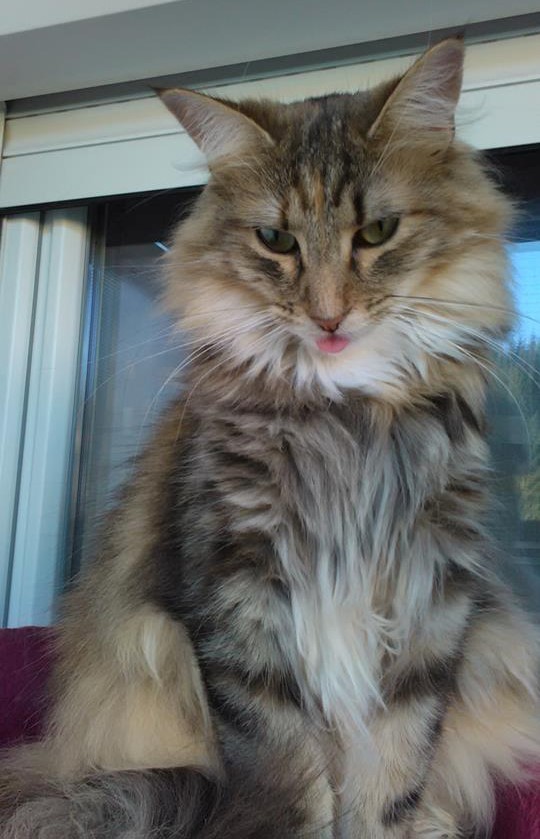 Bella